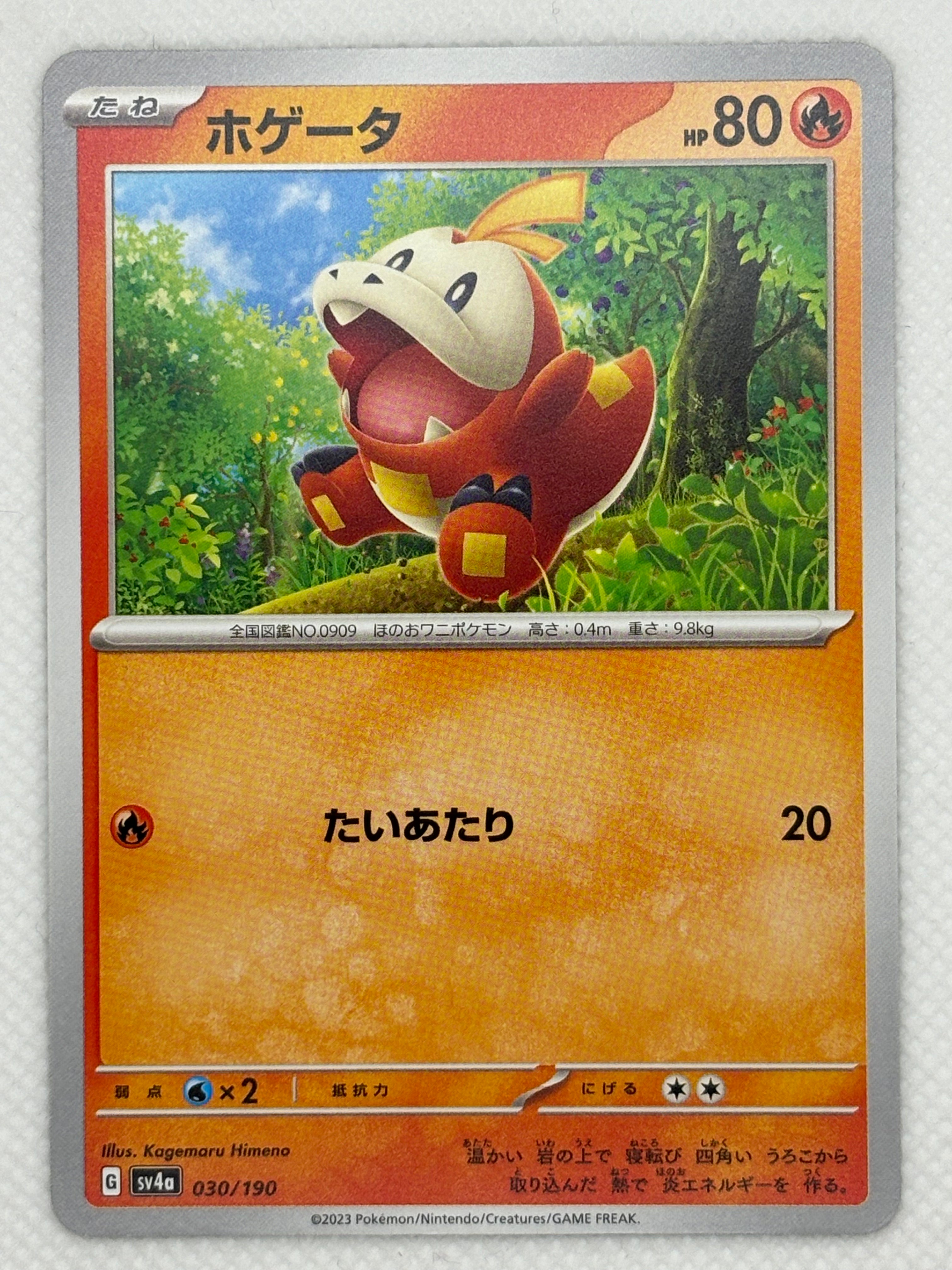 fuecoco-japan-pop-mart