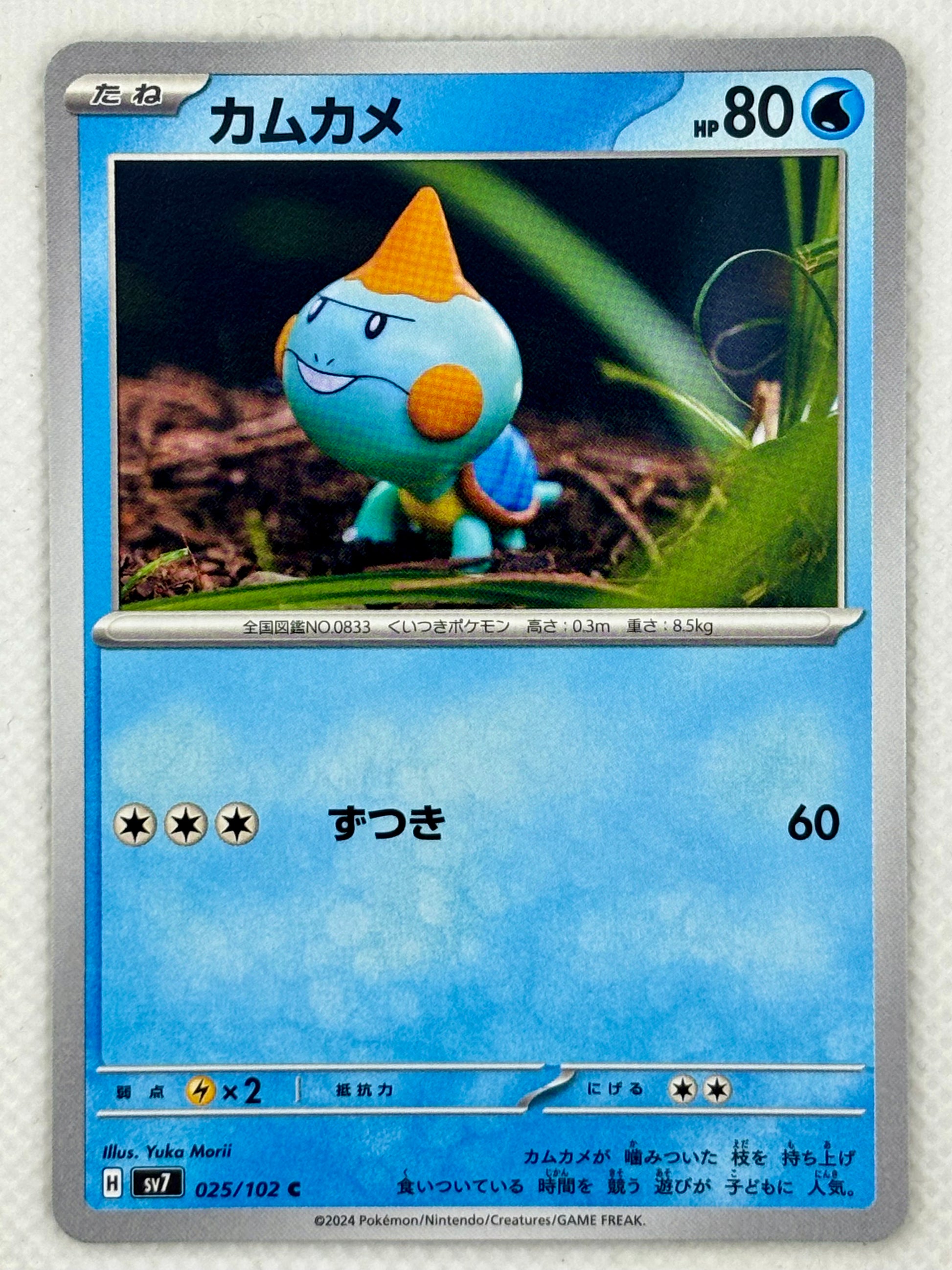 Chewtle card showing its details, abilities, and its role in the Stellar Miracle set.