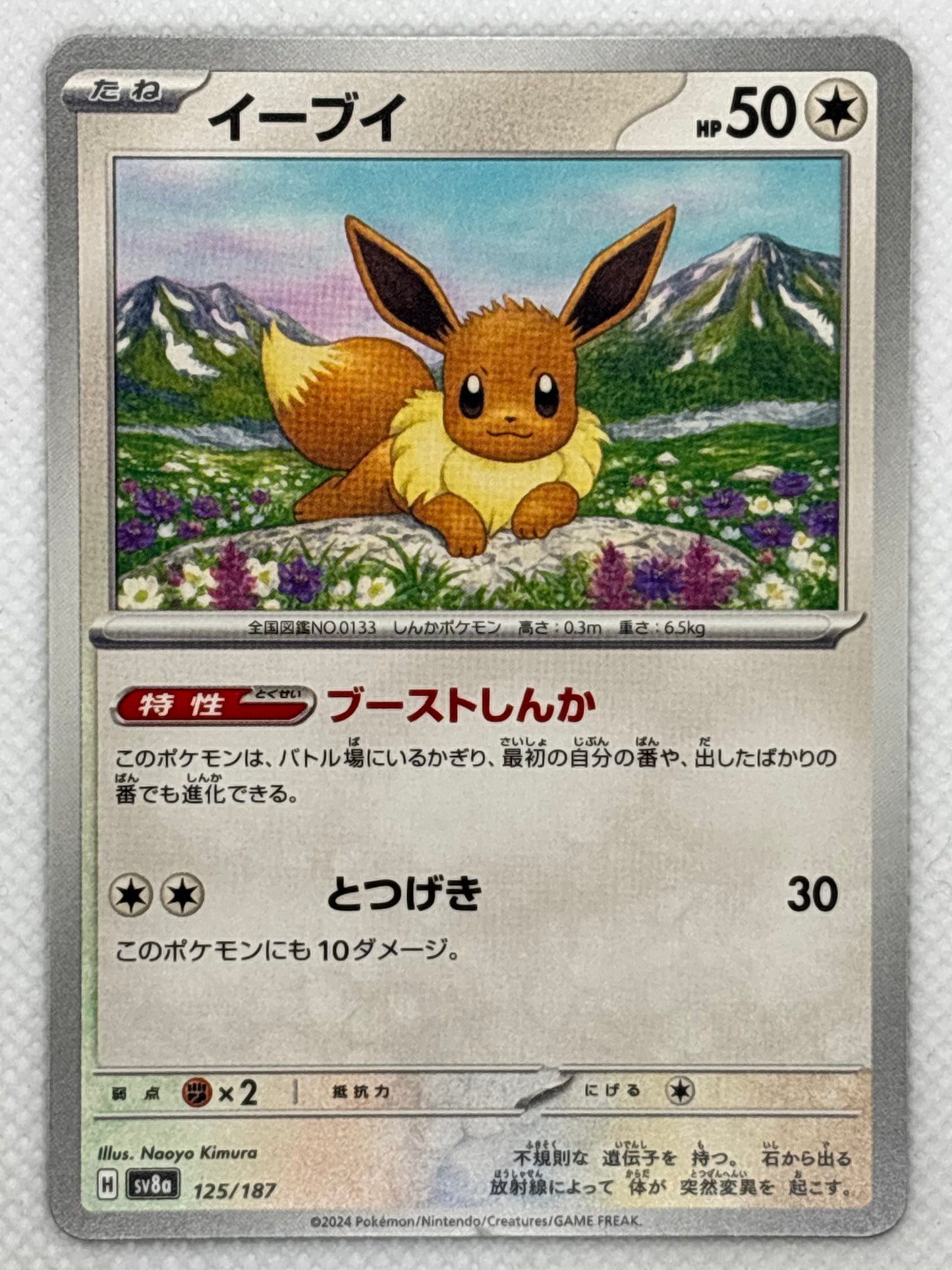 Explore Eevee from the "Terastal Festival ex" set in the Pokemon Scarlet & Violet series. A Normal-type Pokemon with impressive defensive capabilities and powerful attacks. Image of the card included.