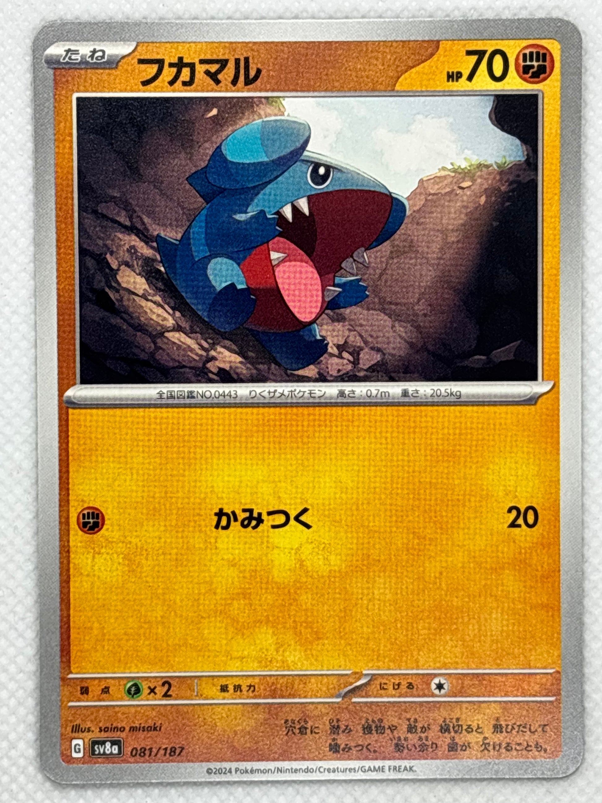 View Gible, a Dragon/Ground-type Pokemon from the Terastal Festival ex expansion of the Scarlet & Violet series. With its fierce appearance and rough scales.