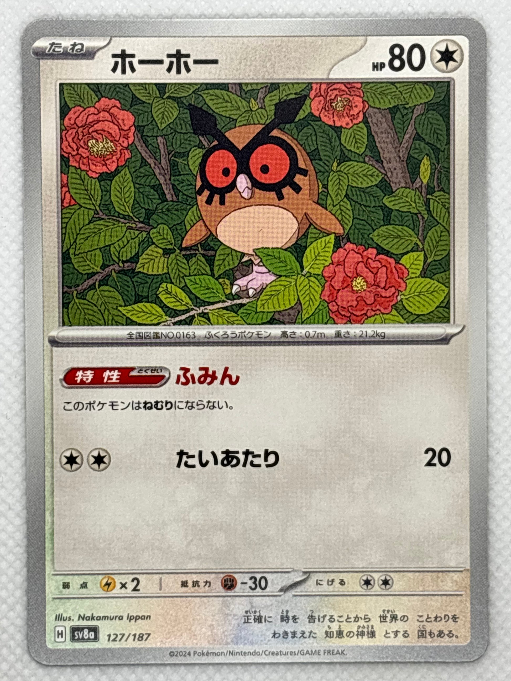 Explore Hoothoot from the "Terastal Festival ex" set in the Pokemon Scarlet & Violet series. A Normal/Flying-type Pokemon with impressive defensive capabilities and powerful attacks. Image of the card included.