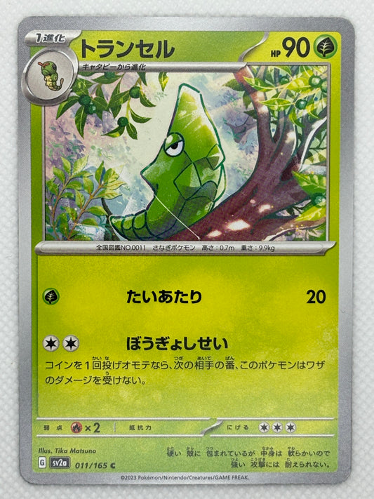 Metapod