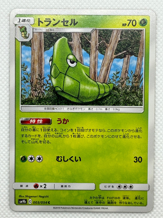 Metapod 