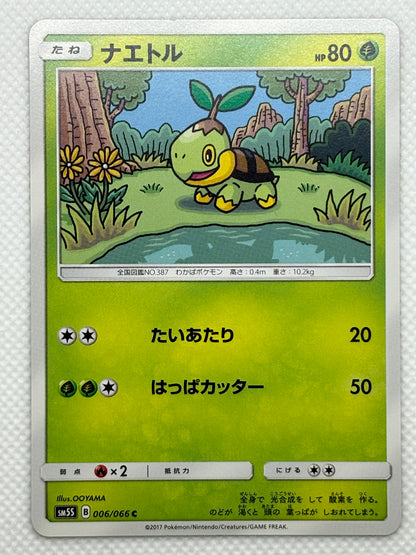 Turtwig