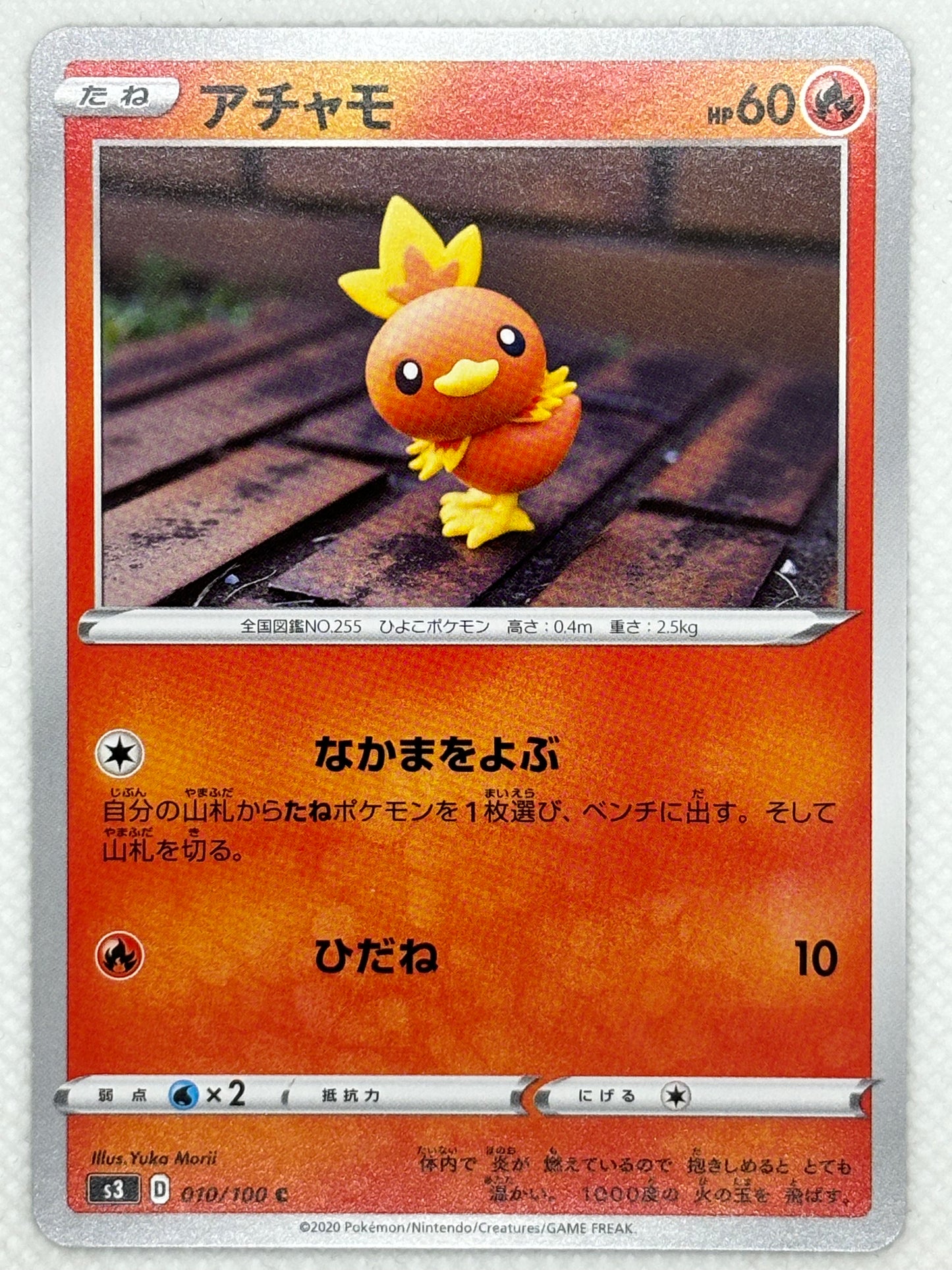 Torchic