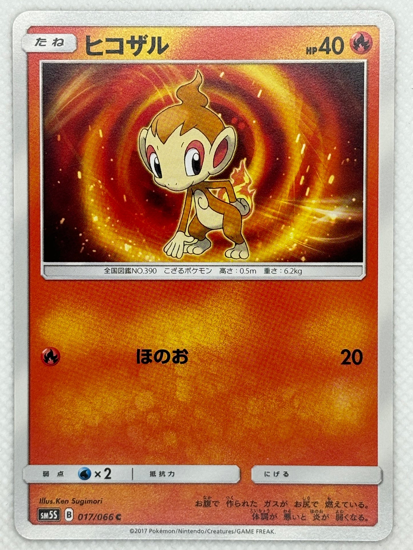 Chimchar