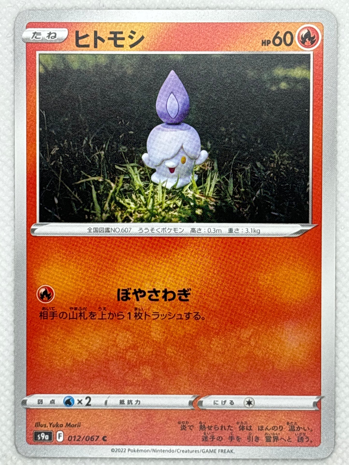 Litwick