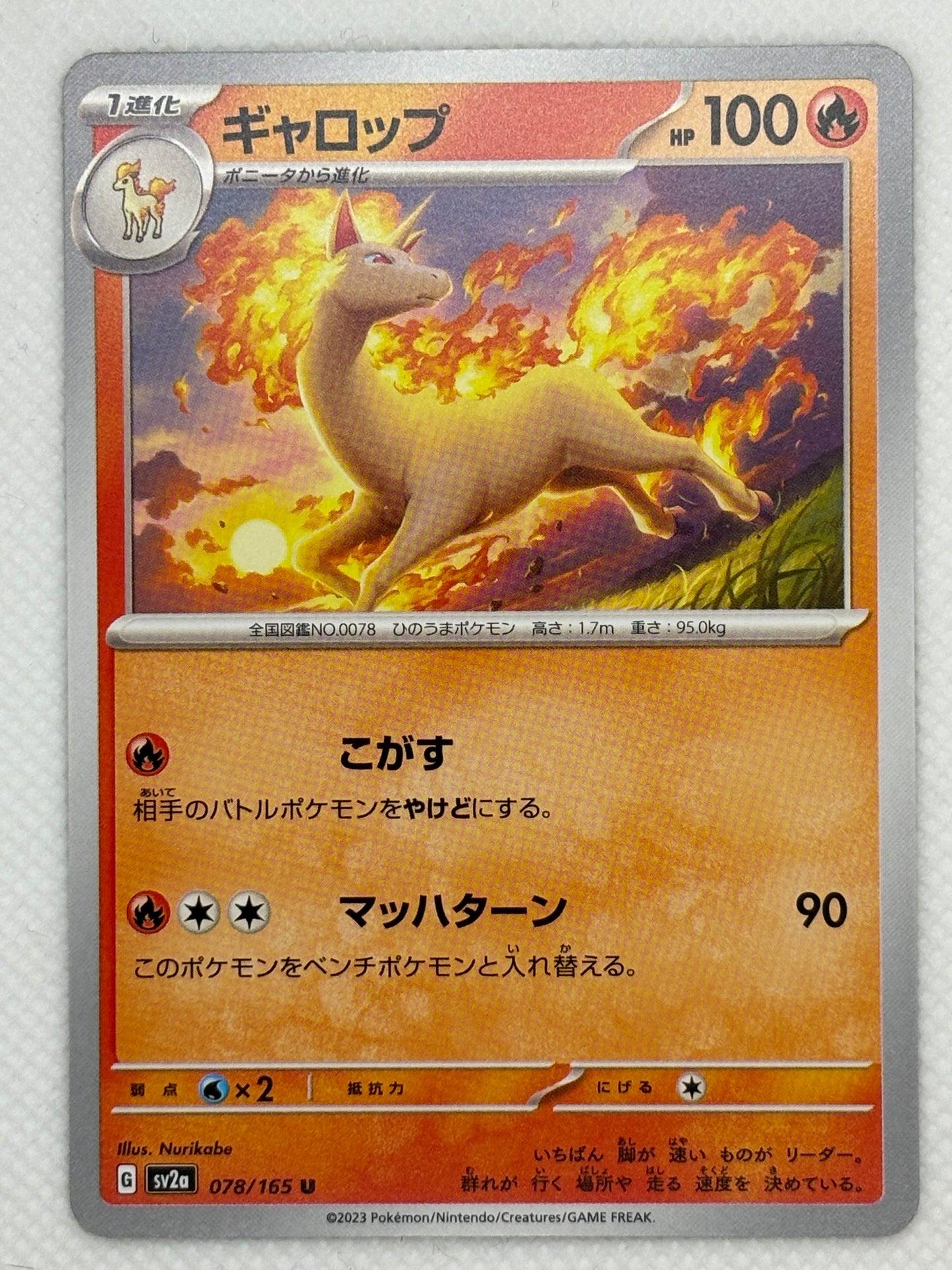 Rapidash