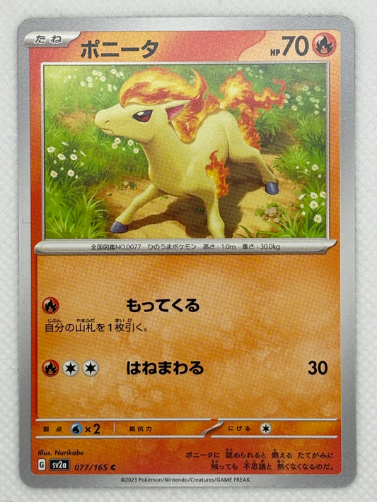 Ponyta