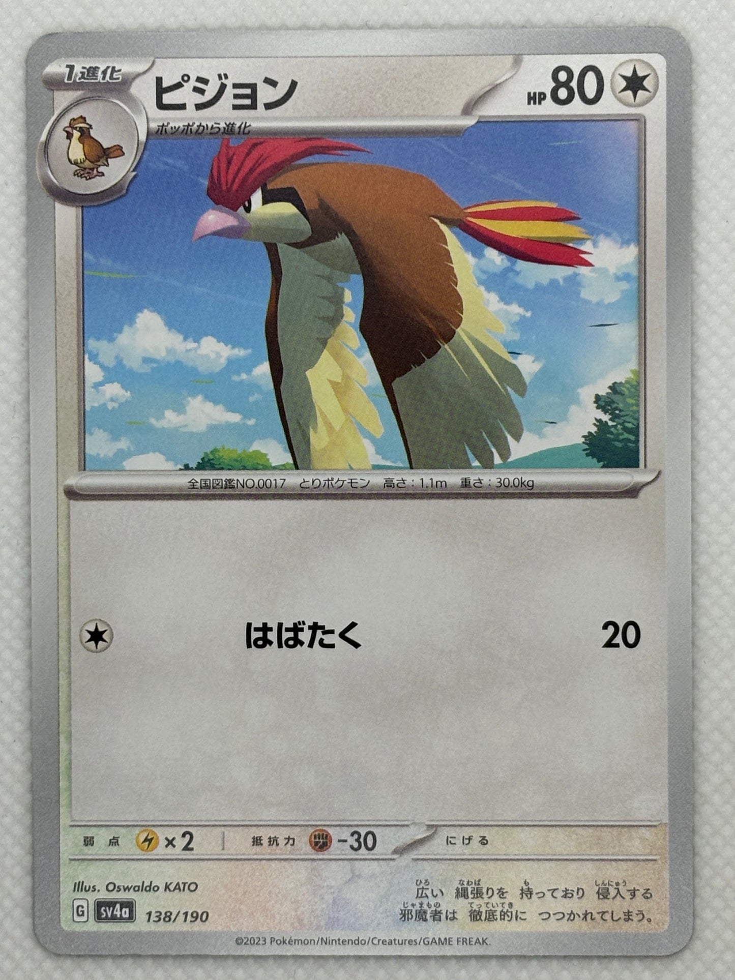 Pidgeotto