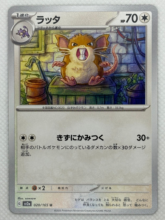 Raticate