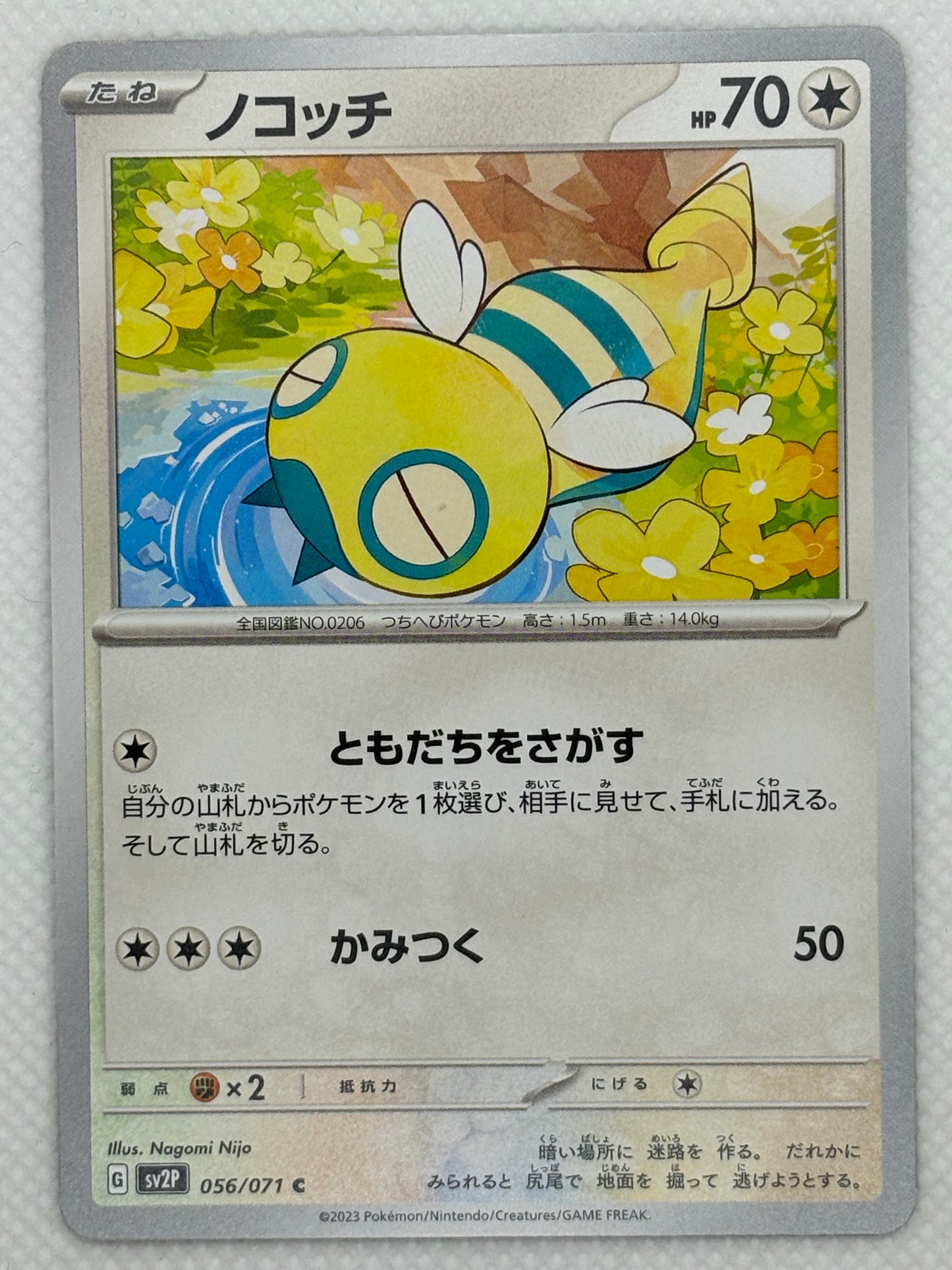 Dunsparce