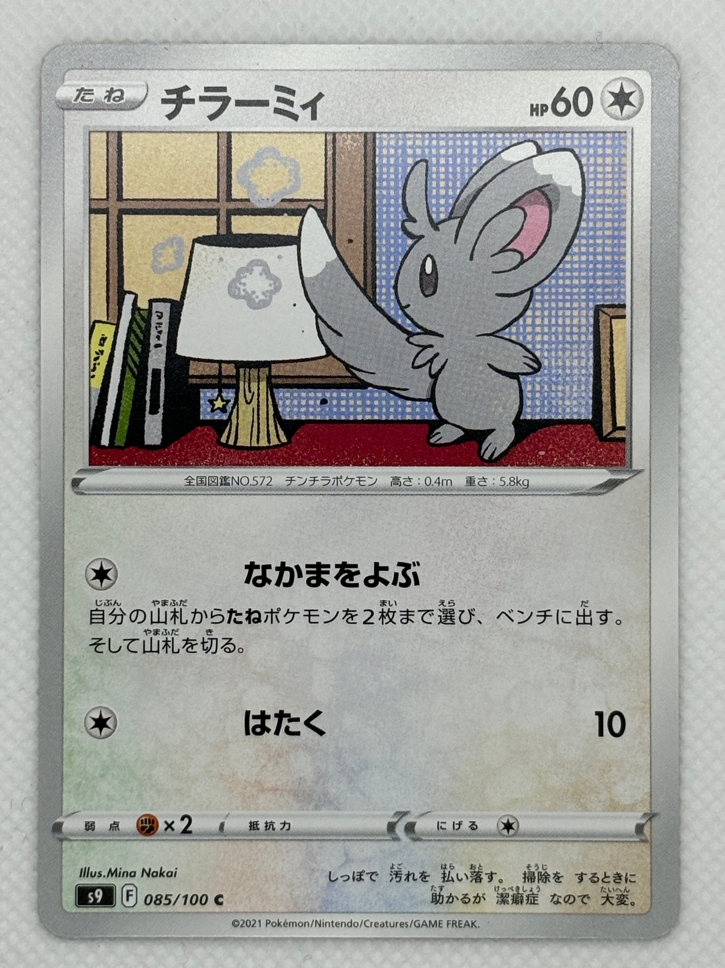 Minccino