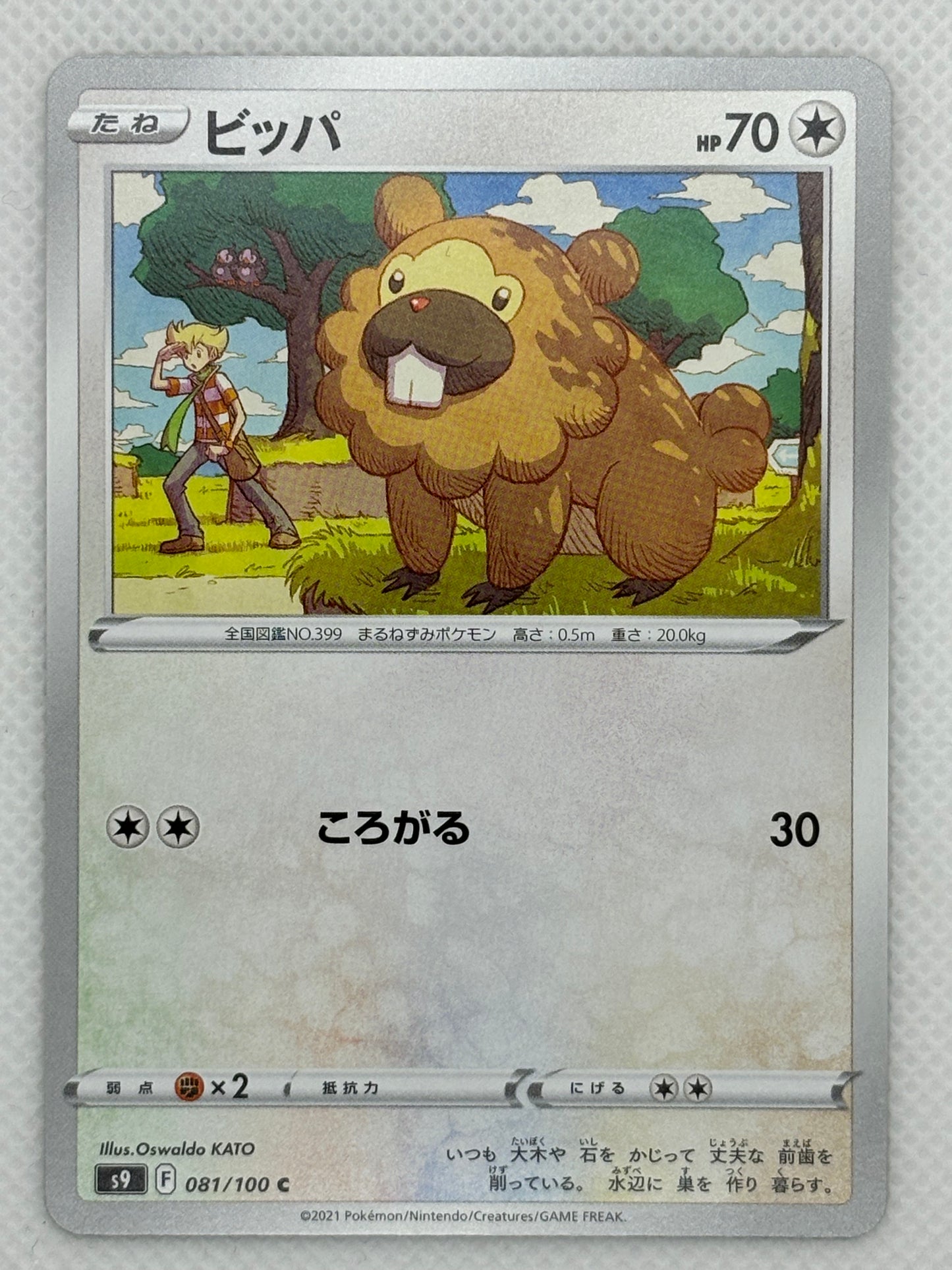 Bidoof