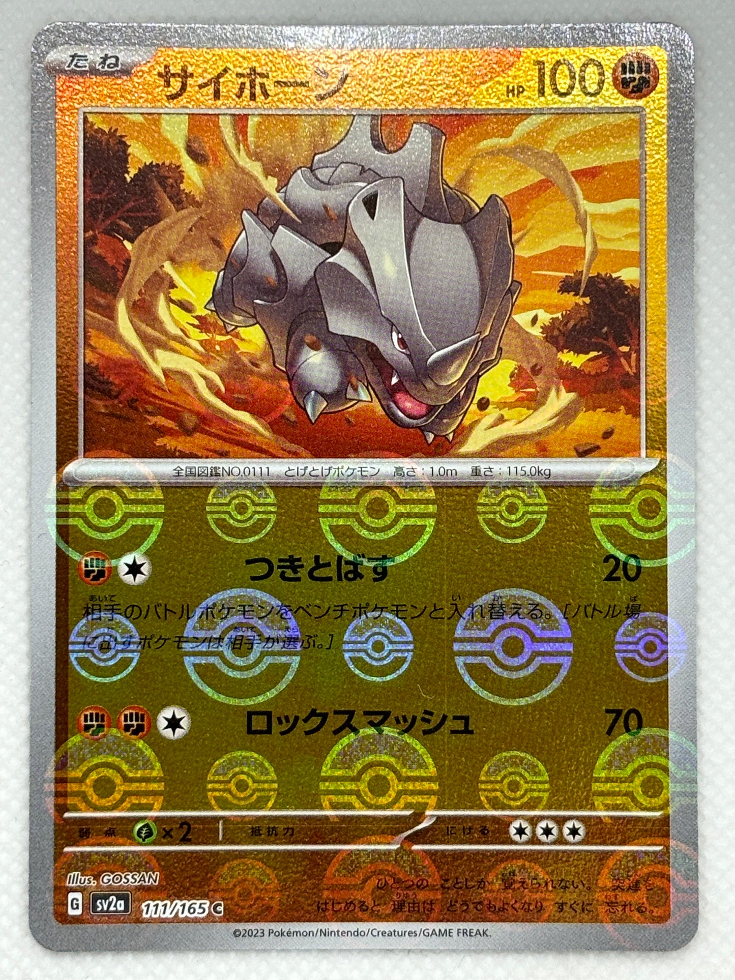 Rhyhorn