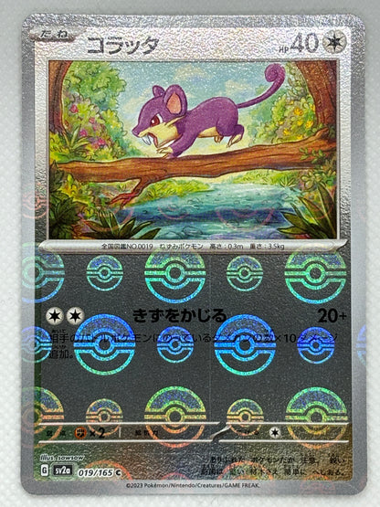 Rattata