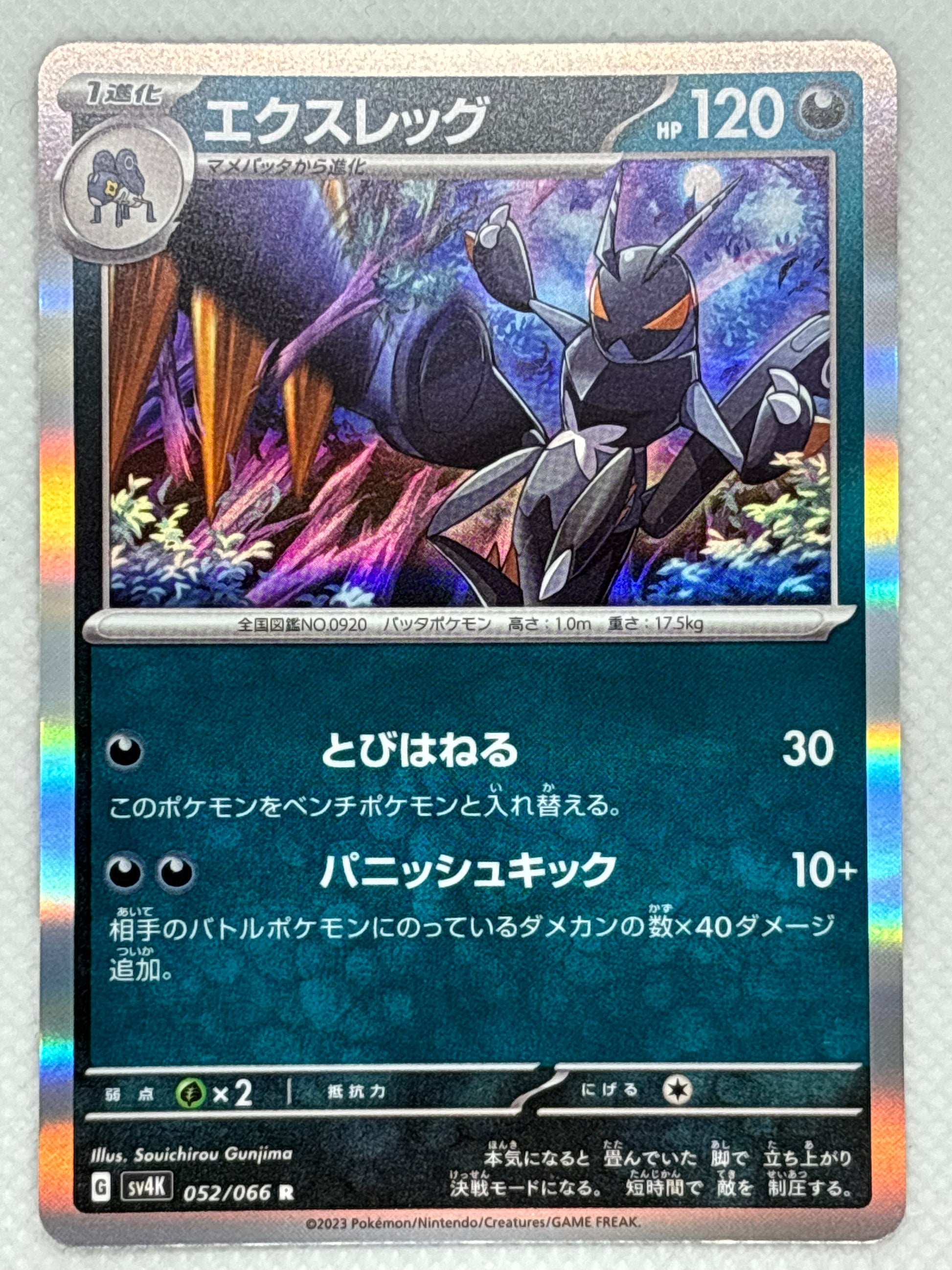 lokix pokemon card value Lokix – Japan Pop Mart