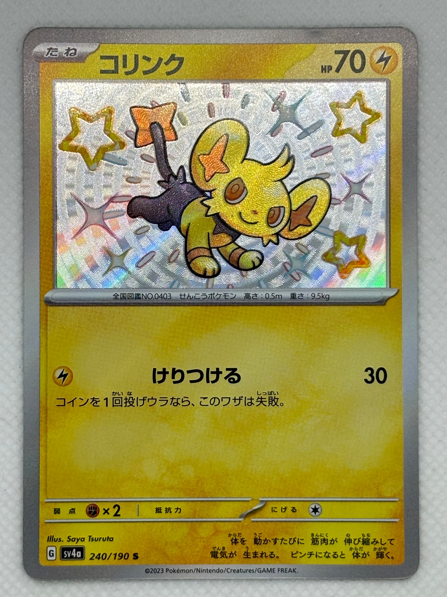 Shinx