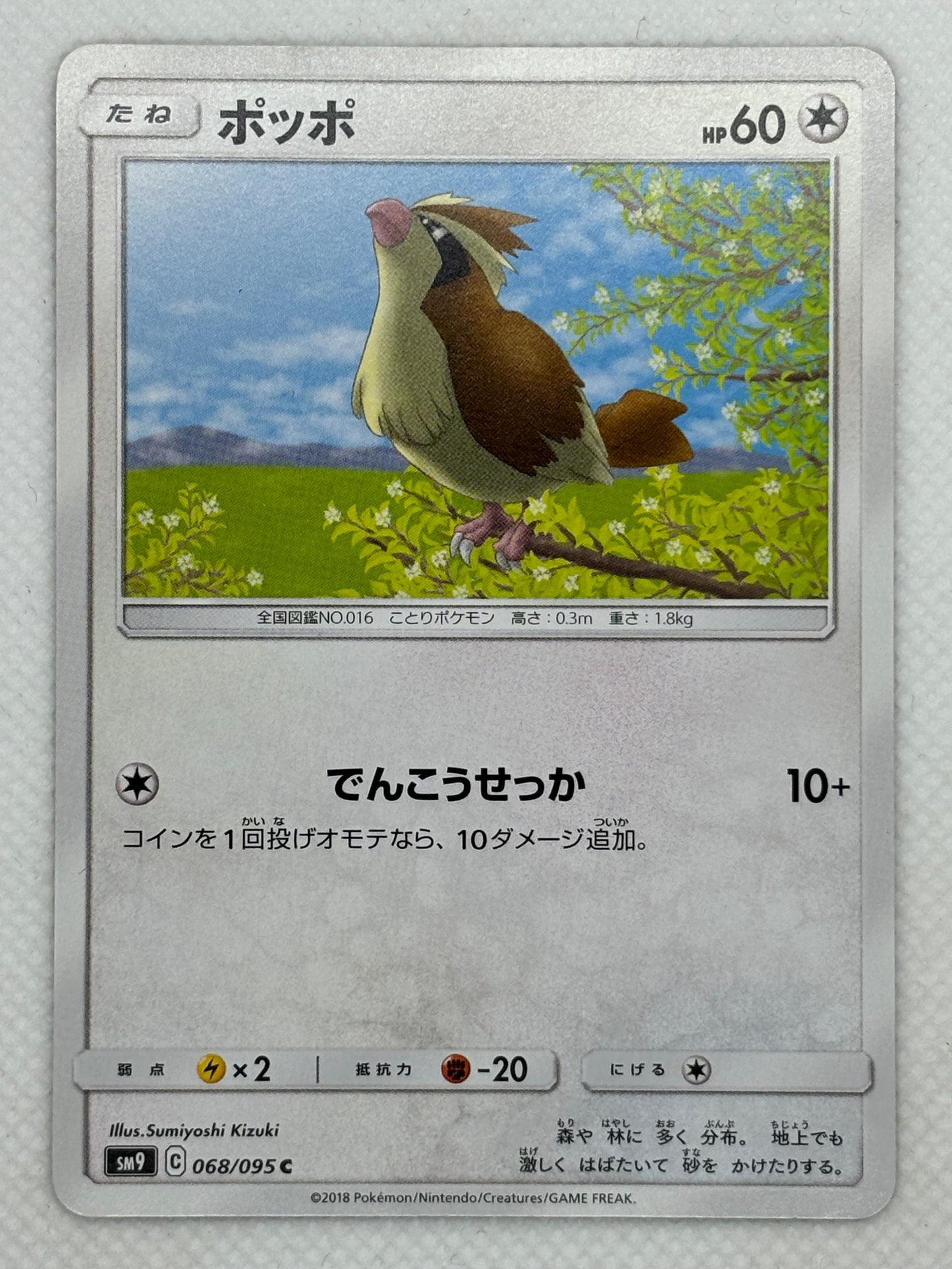 Pidgey