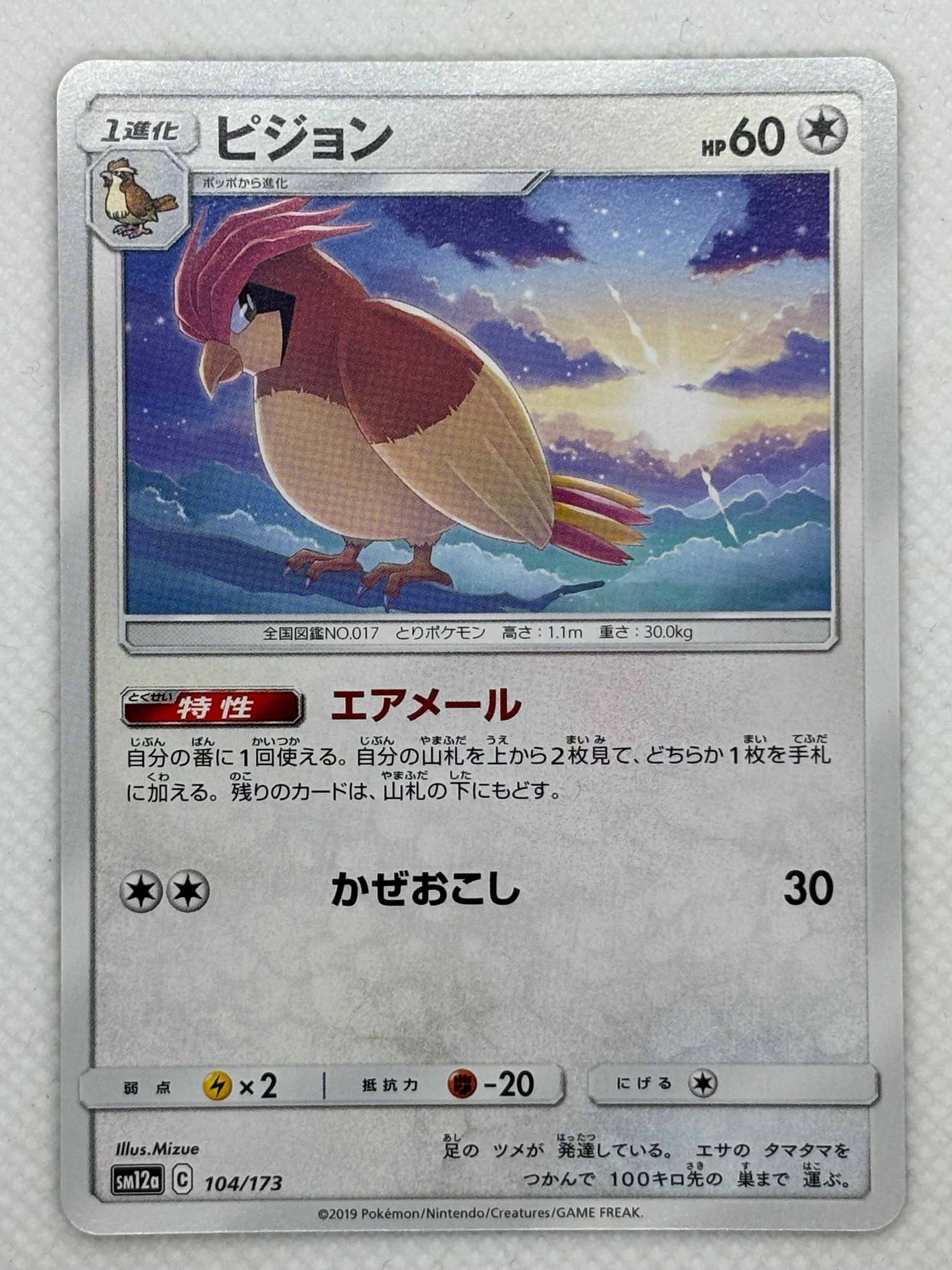 Pidgeotto Japan Pop Mart Pidgeotto Japan Pop Mart