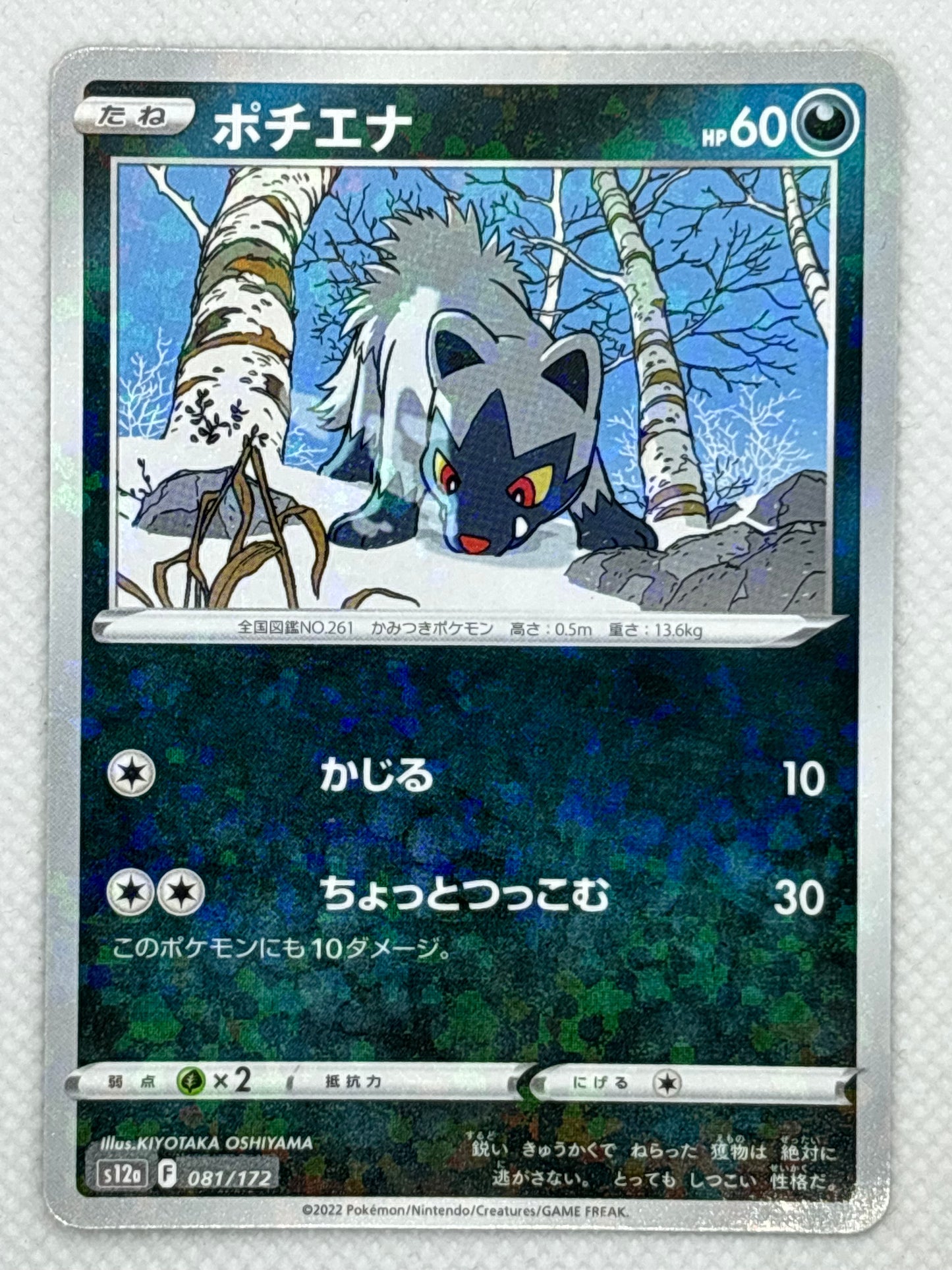 Poochyena Japan Pop Mart Poochyena Japan Pop Mart