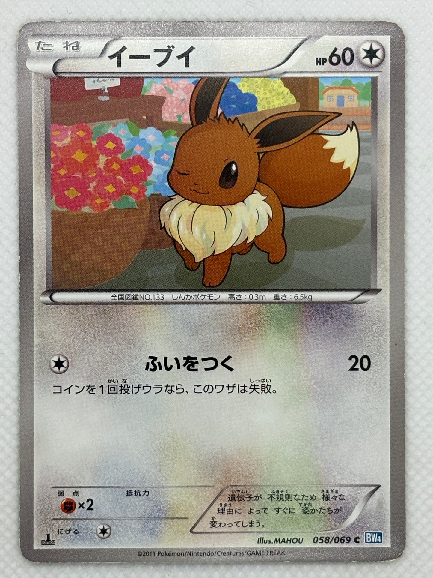 Eevee