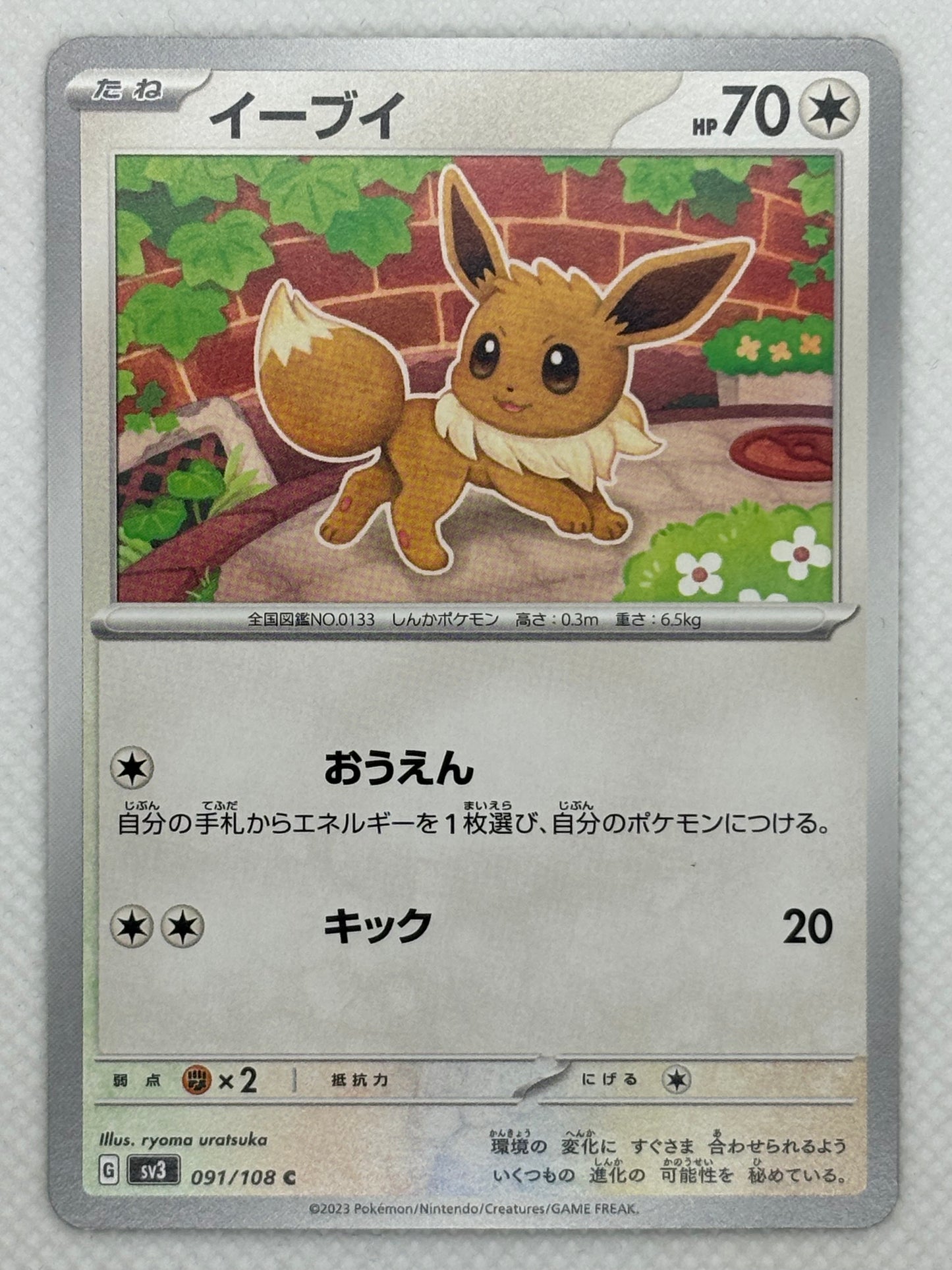 Eevee