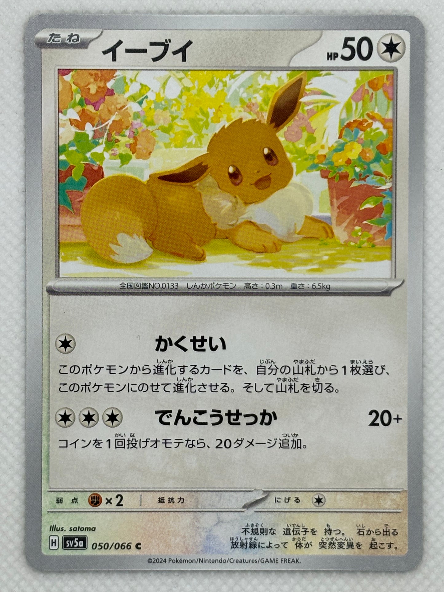 Eevee