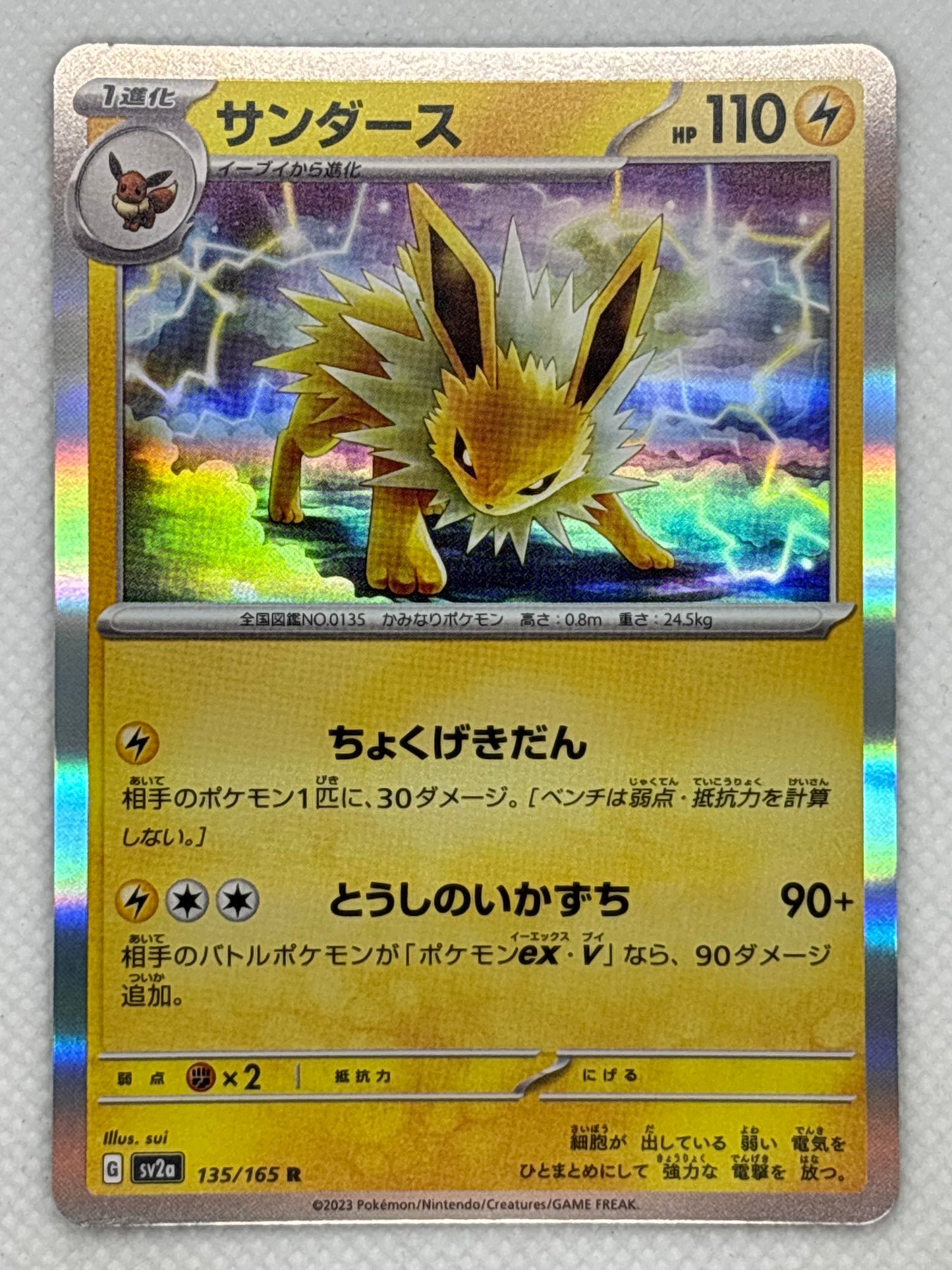 Raichu / Mint opened