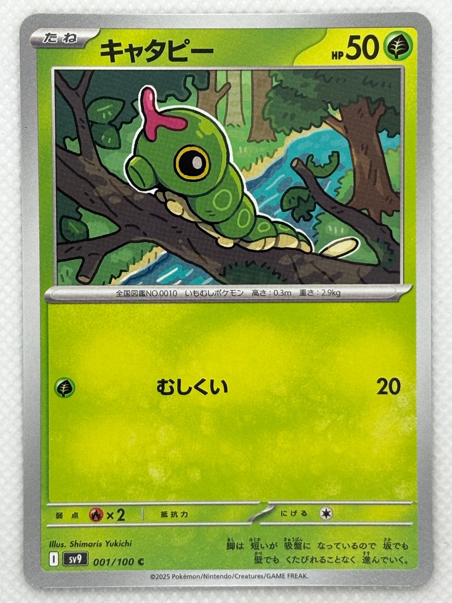 Caterpie / Mint opened