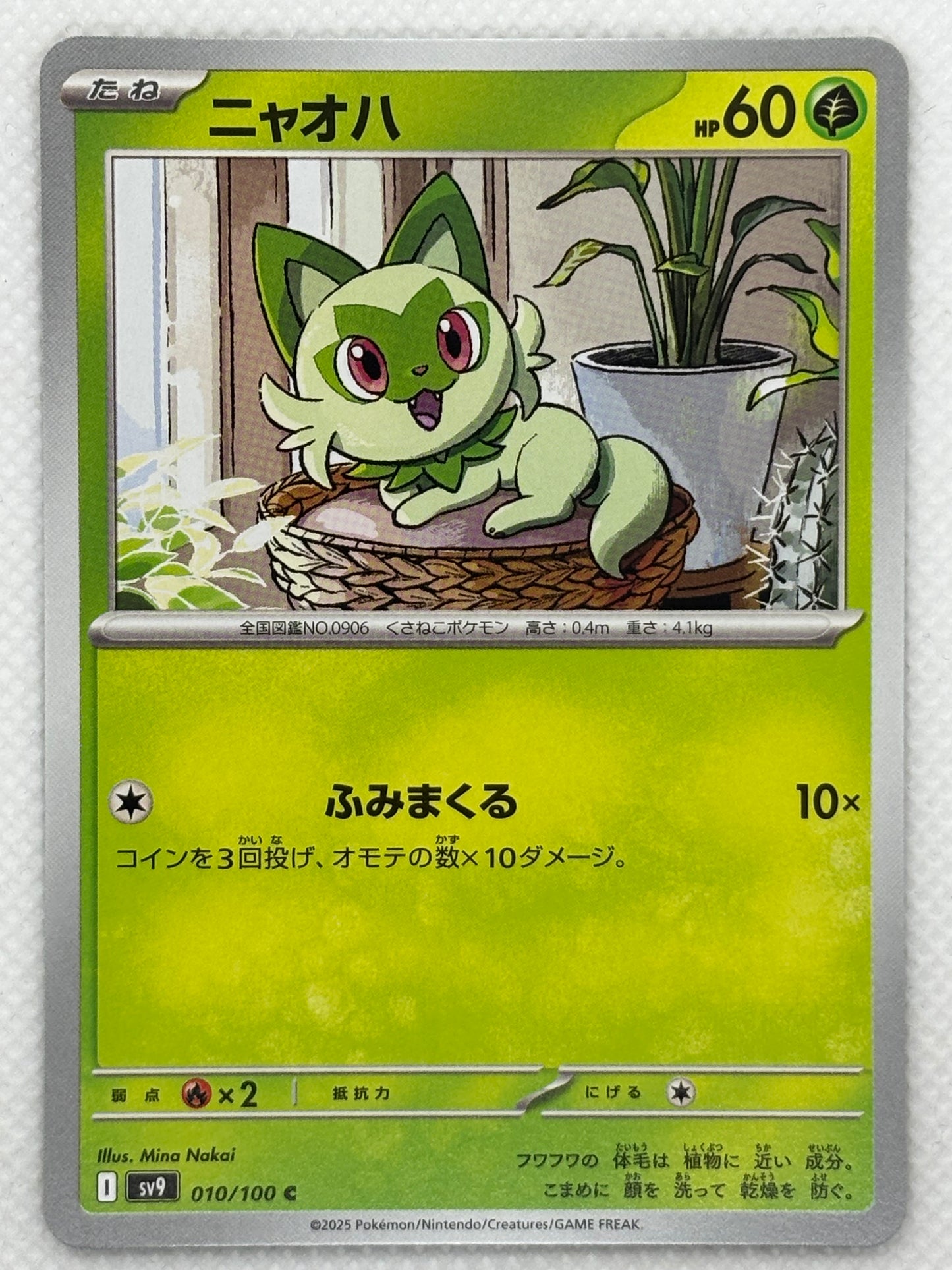 Poussacha / Mint opened