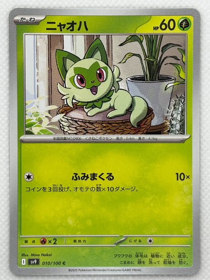 Poussacha / Mint opened