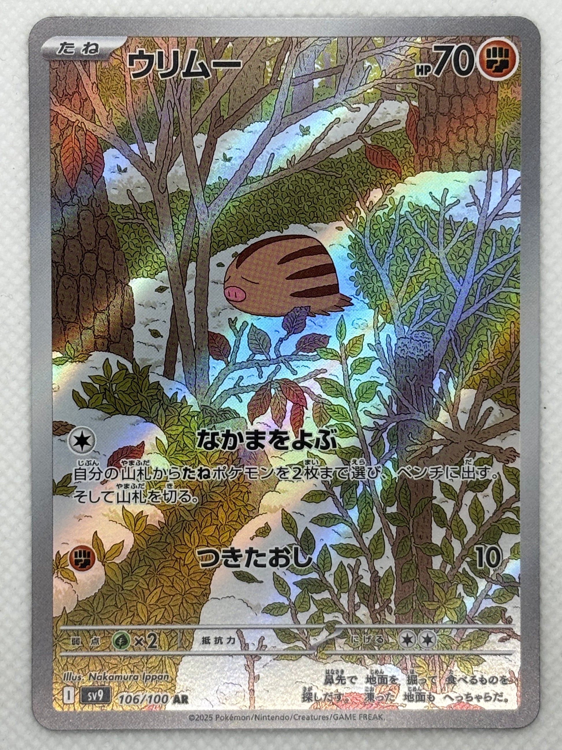 Pokmon Card Swinub - Battle Partners - Scarlet & Violet Japan Pop Mart Pokmon Card Swinub - Battle Partners - Scarlet & Violet Japan Pop Mart