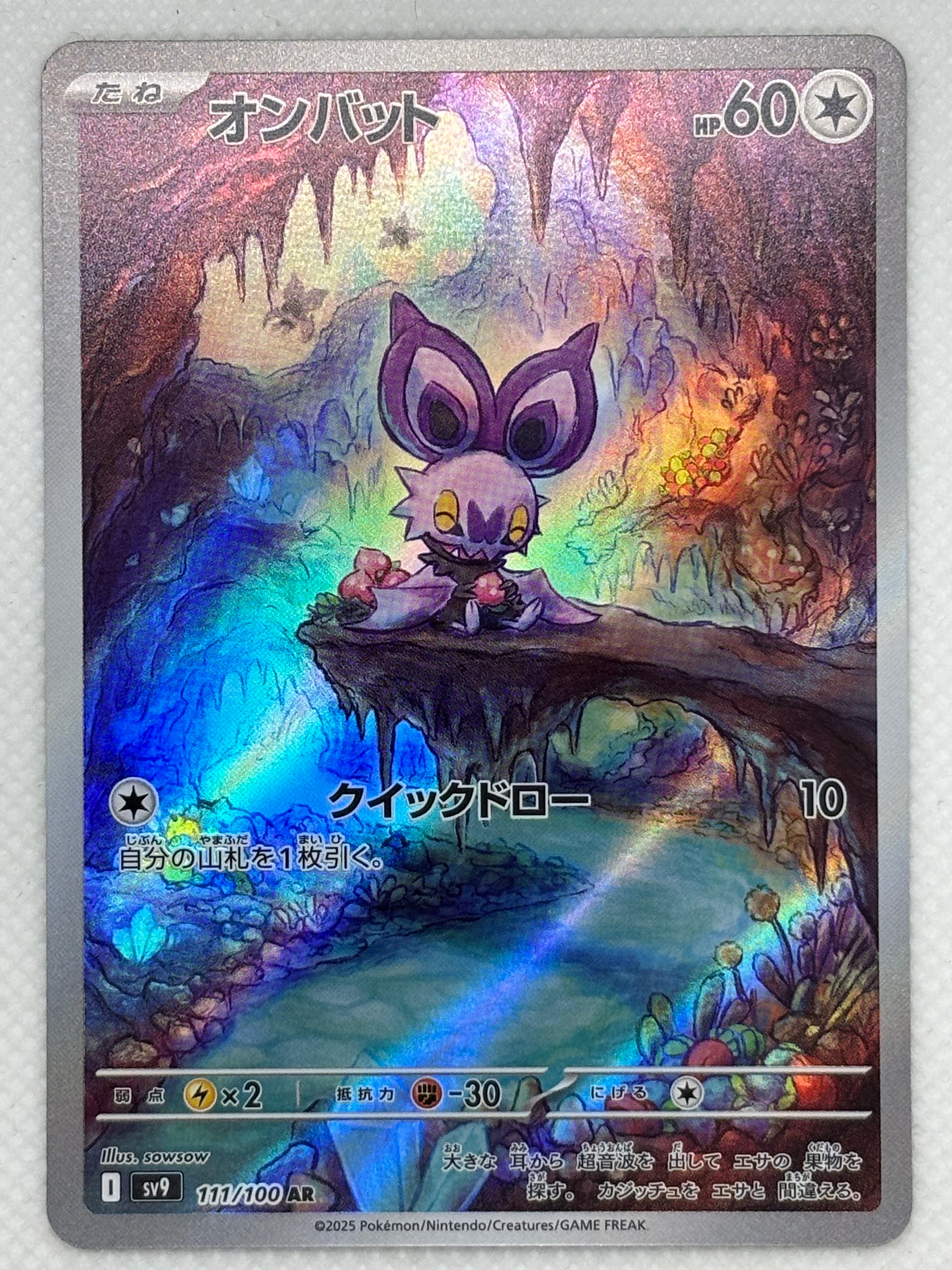 Pokémon Card Noibat - Battle Partners