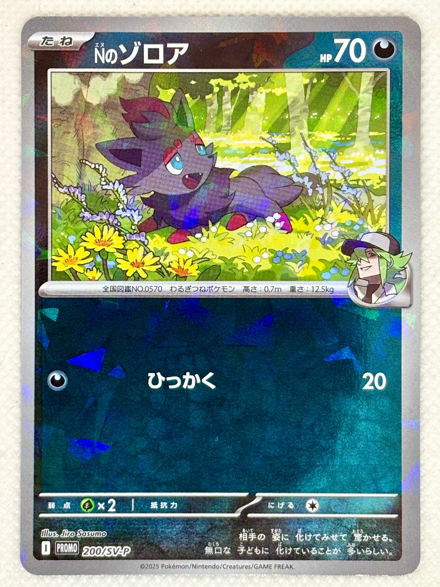 N's Zorua / Mint opened