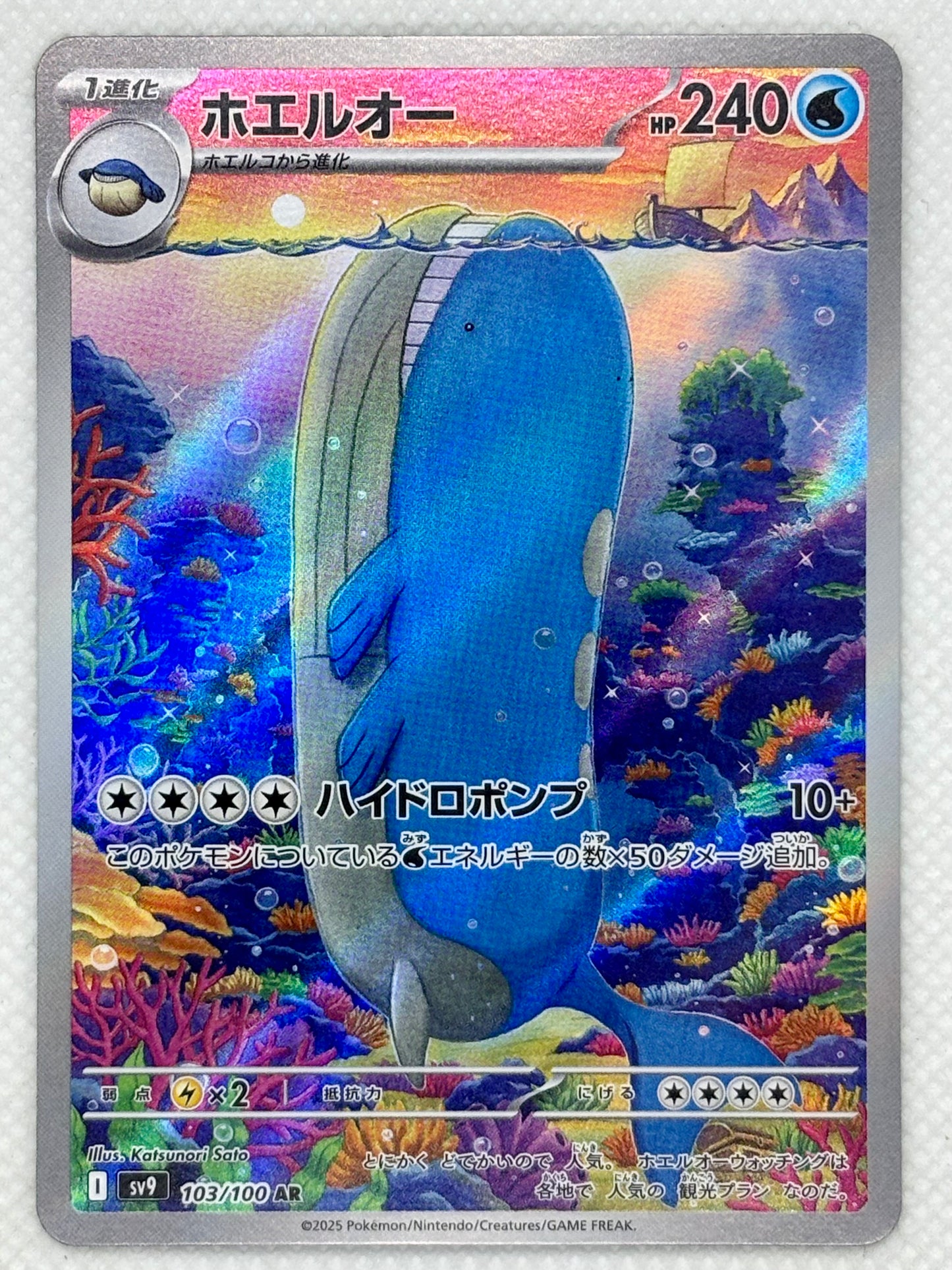 Wailord / Mint opened