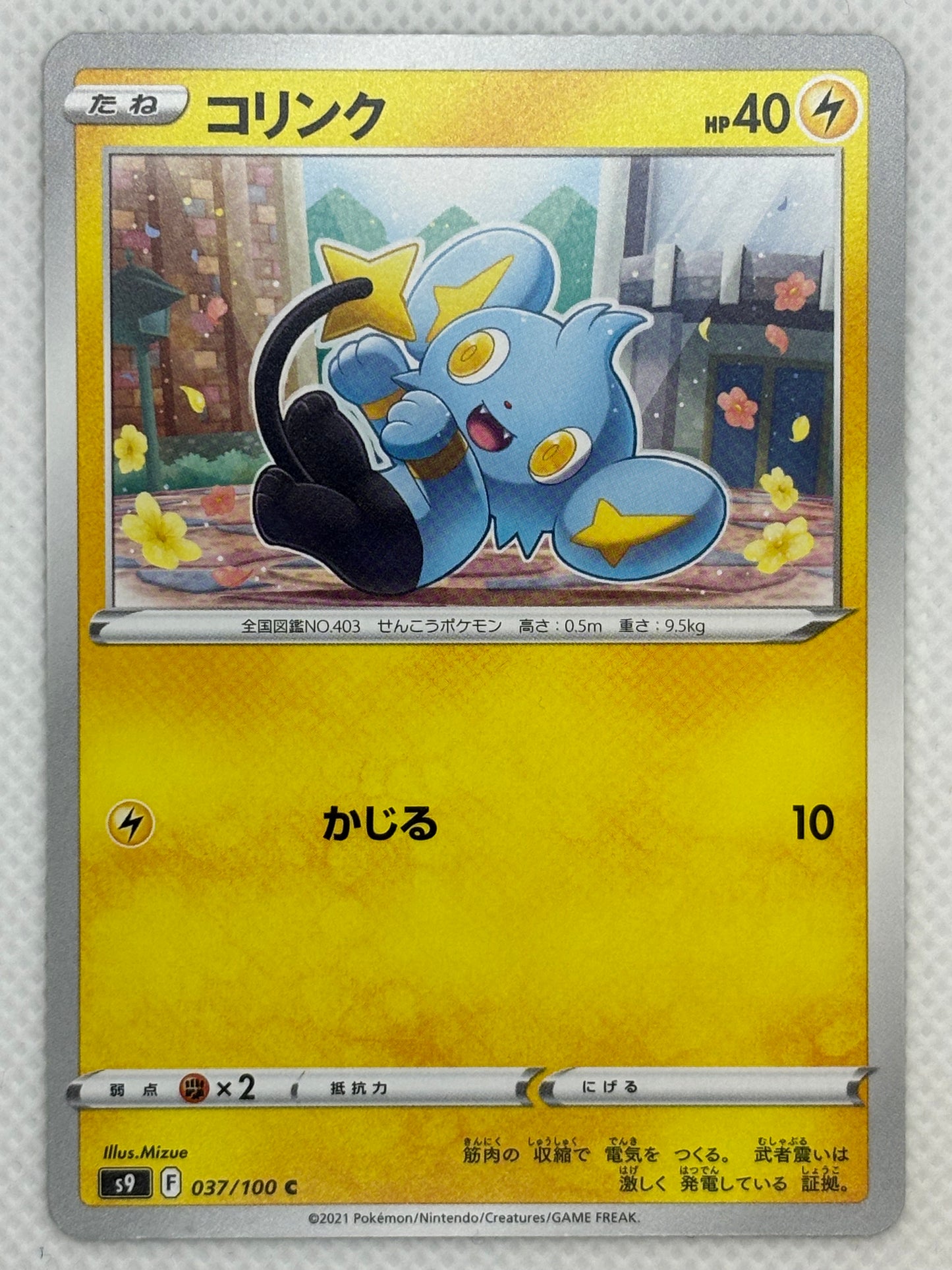 Shinx