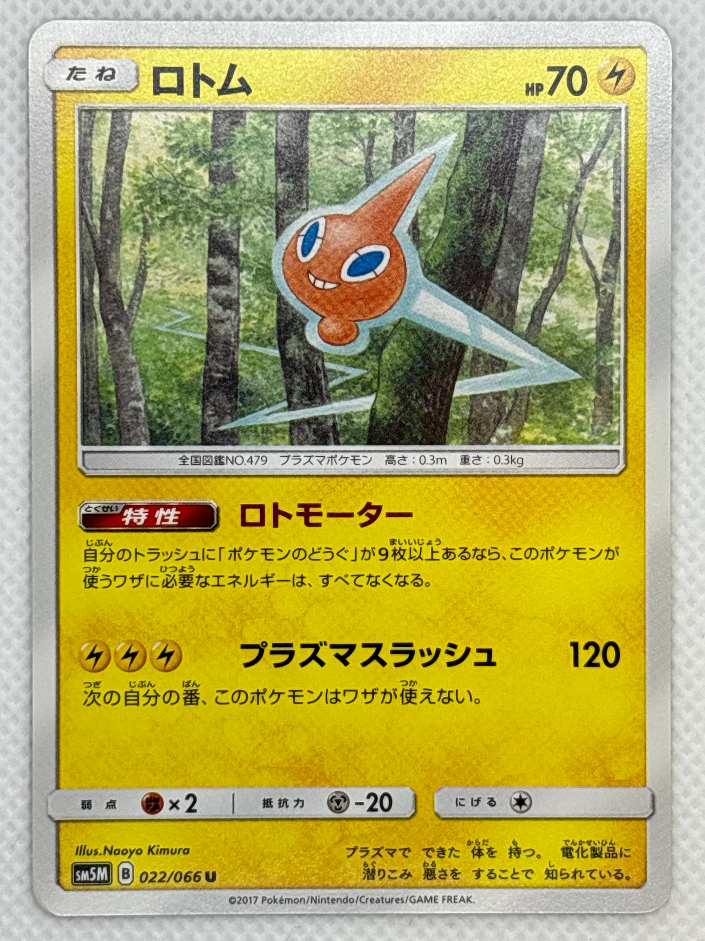 Rotom