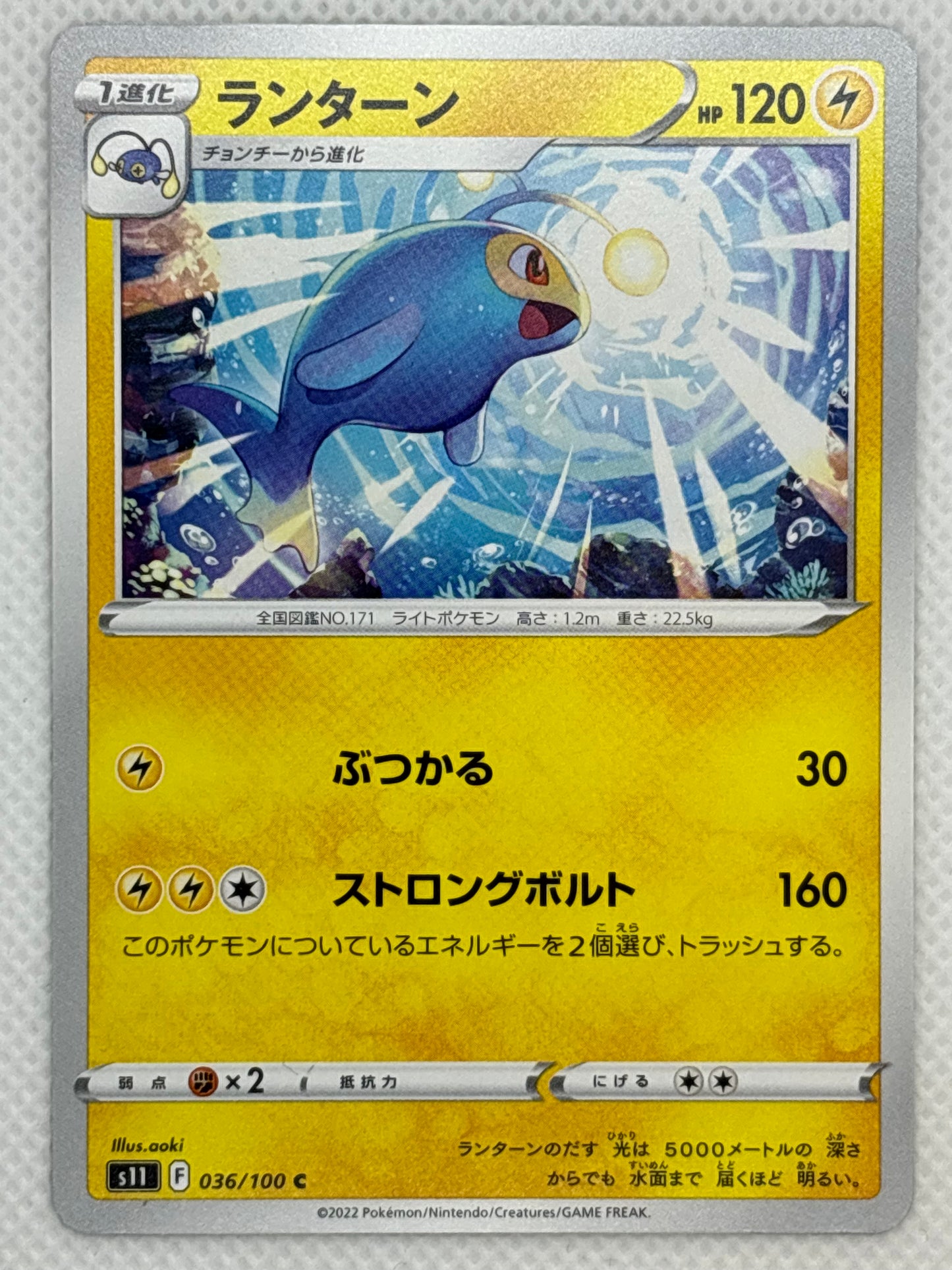 Shinx