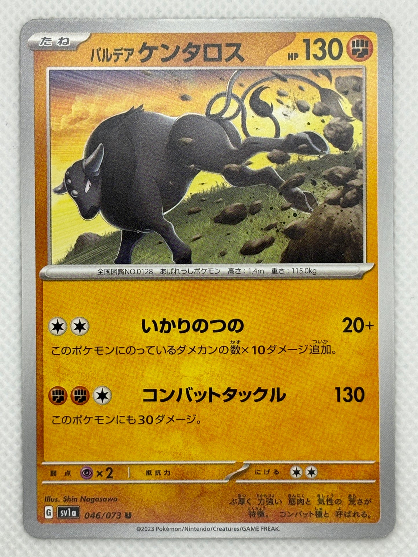 Paldean Tauros