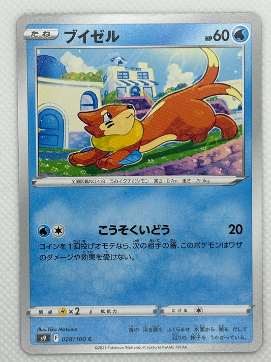 Buizel