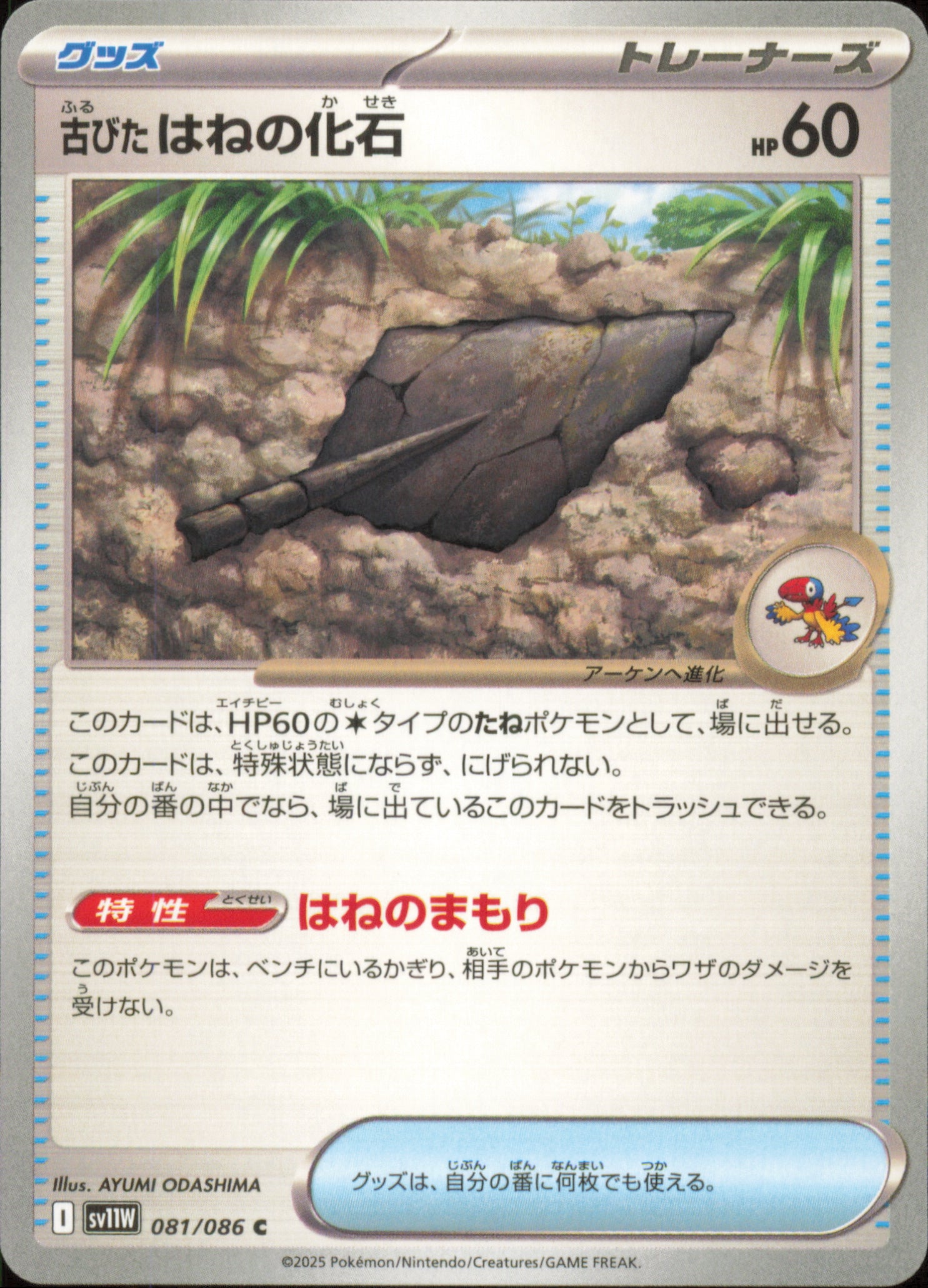Antique Plume Fossil 081/086 / SV11W – front of the card