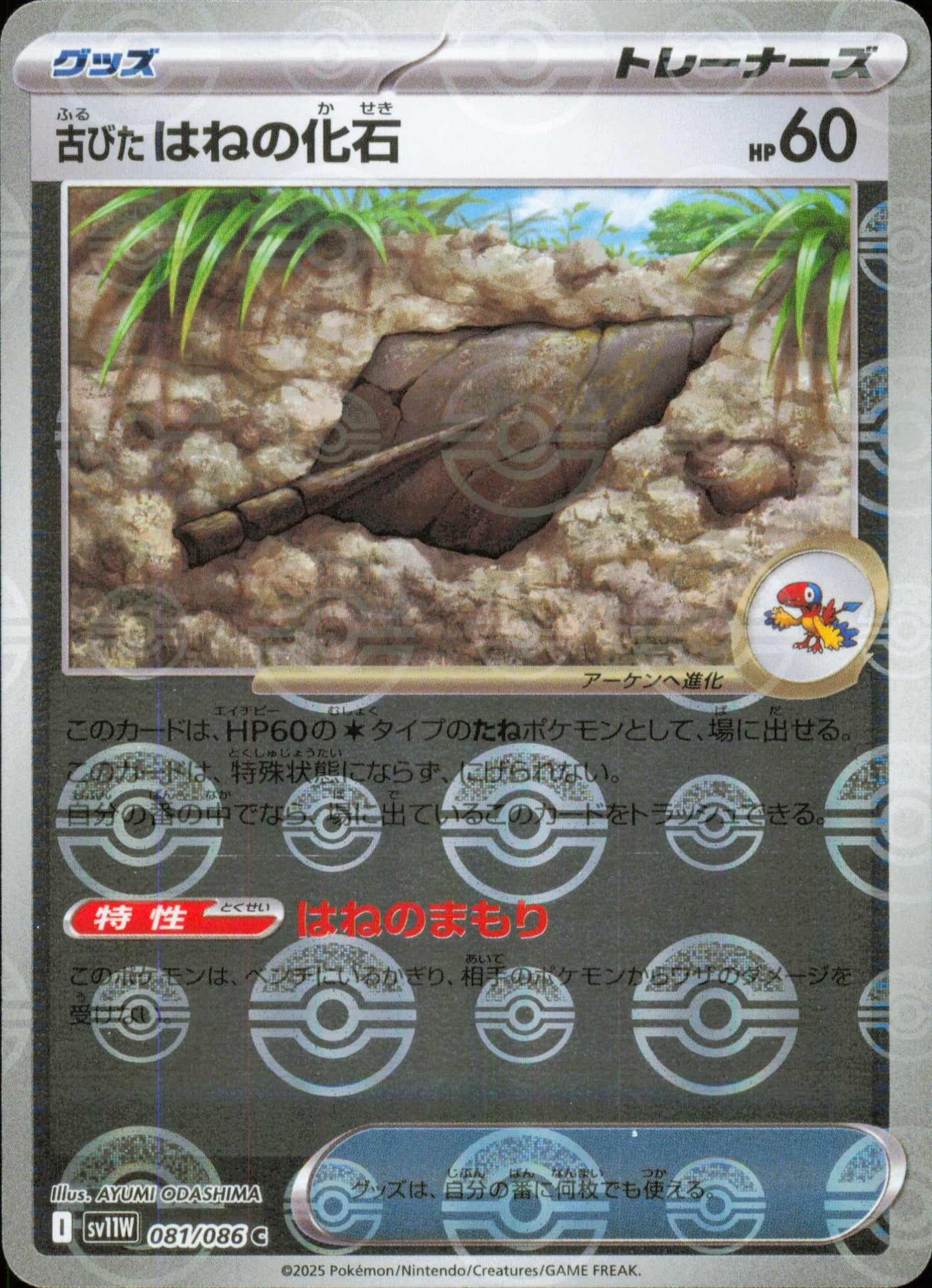 Antique Plume Fossil 081/086 / SV11W – front of the card
