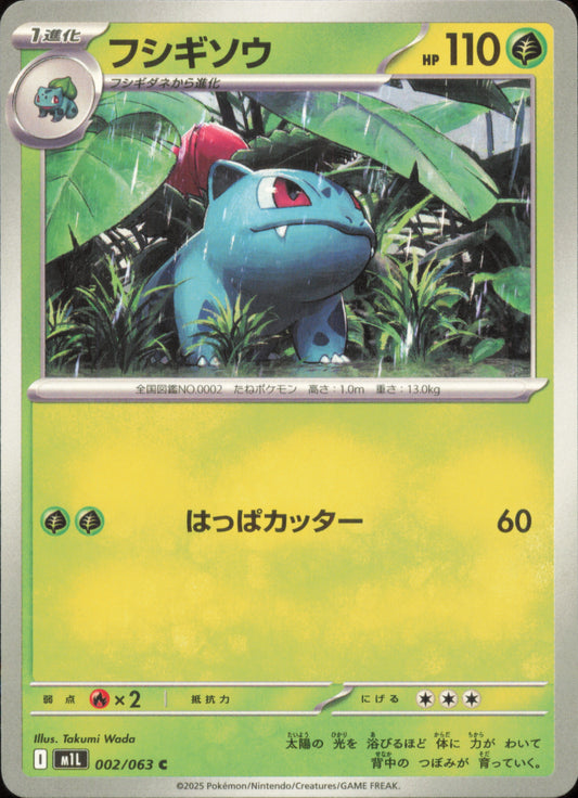 Herbizarre 002/063 / M1L – recto de la carte
