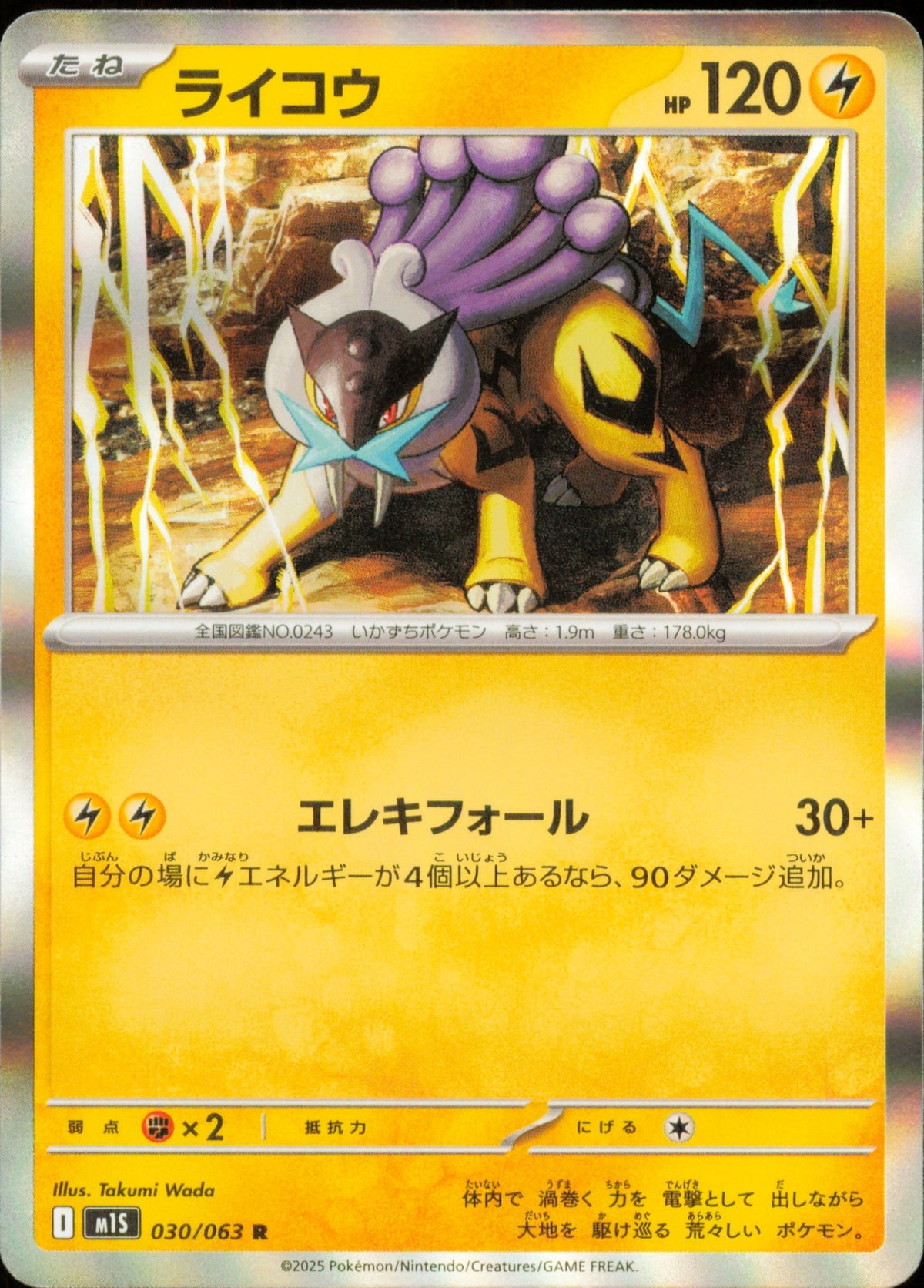 Raikou 030/063 / M1S – recto de la carte