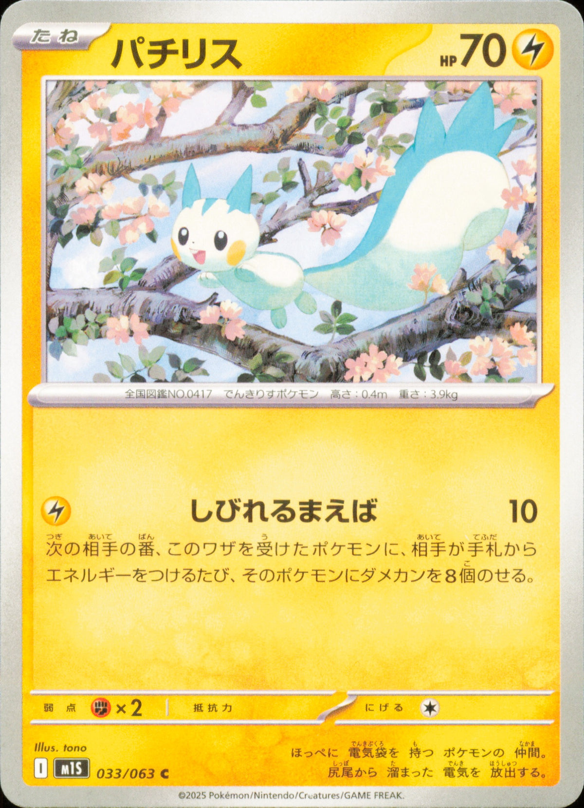 Pachirisu 033/063 / M1S – recto de la carte