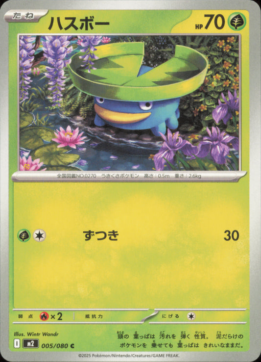 Lotad 005/080 / M2 – card front