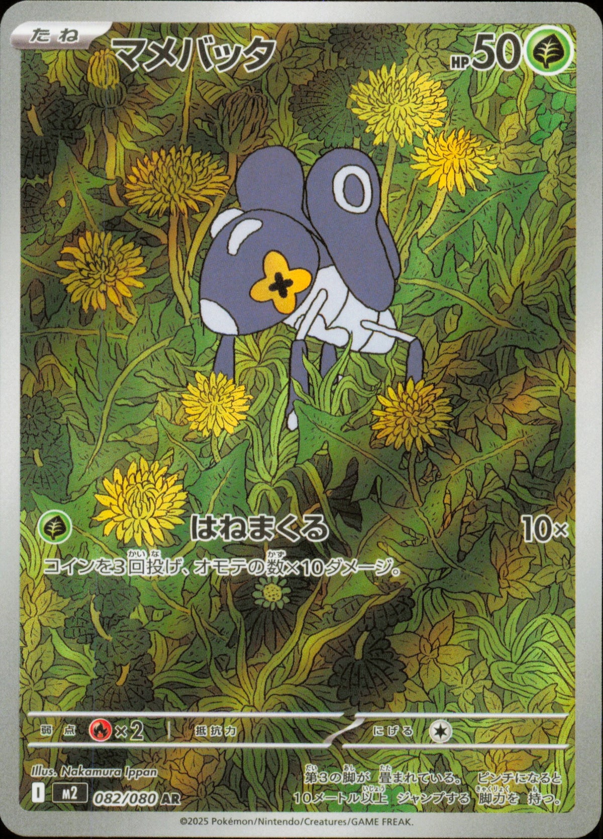 Lilliterelle 082/080 / M2 – recto de la carte