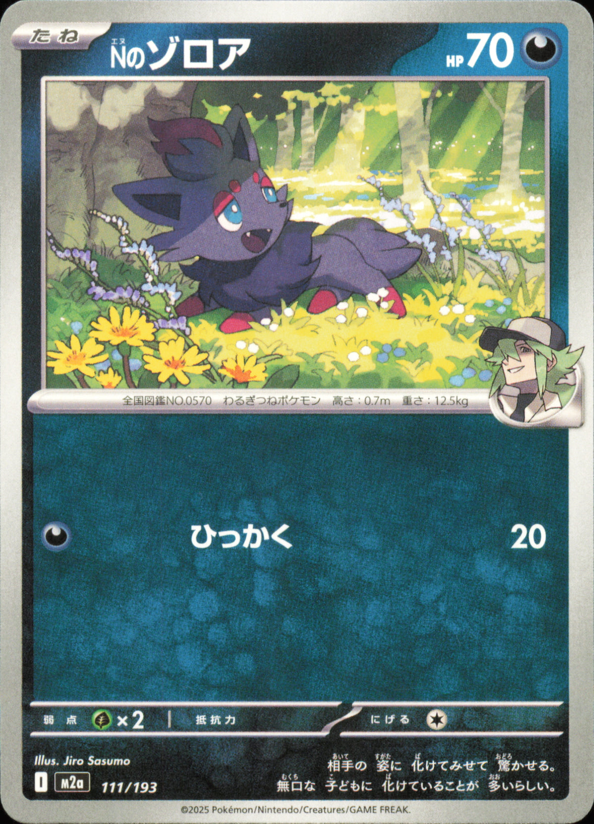 N's Zorua 111/193 / M2a – card front