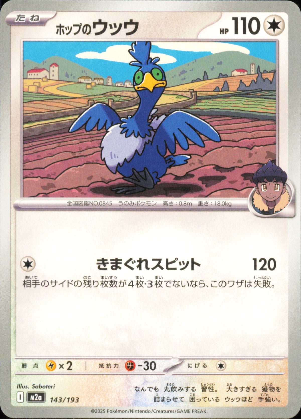 Hop's Cramorant 143/193 / M2a – card front